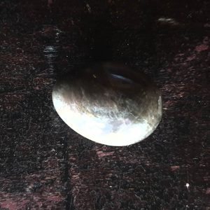 Black Moonstone Yoni Egg