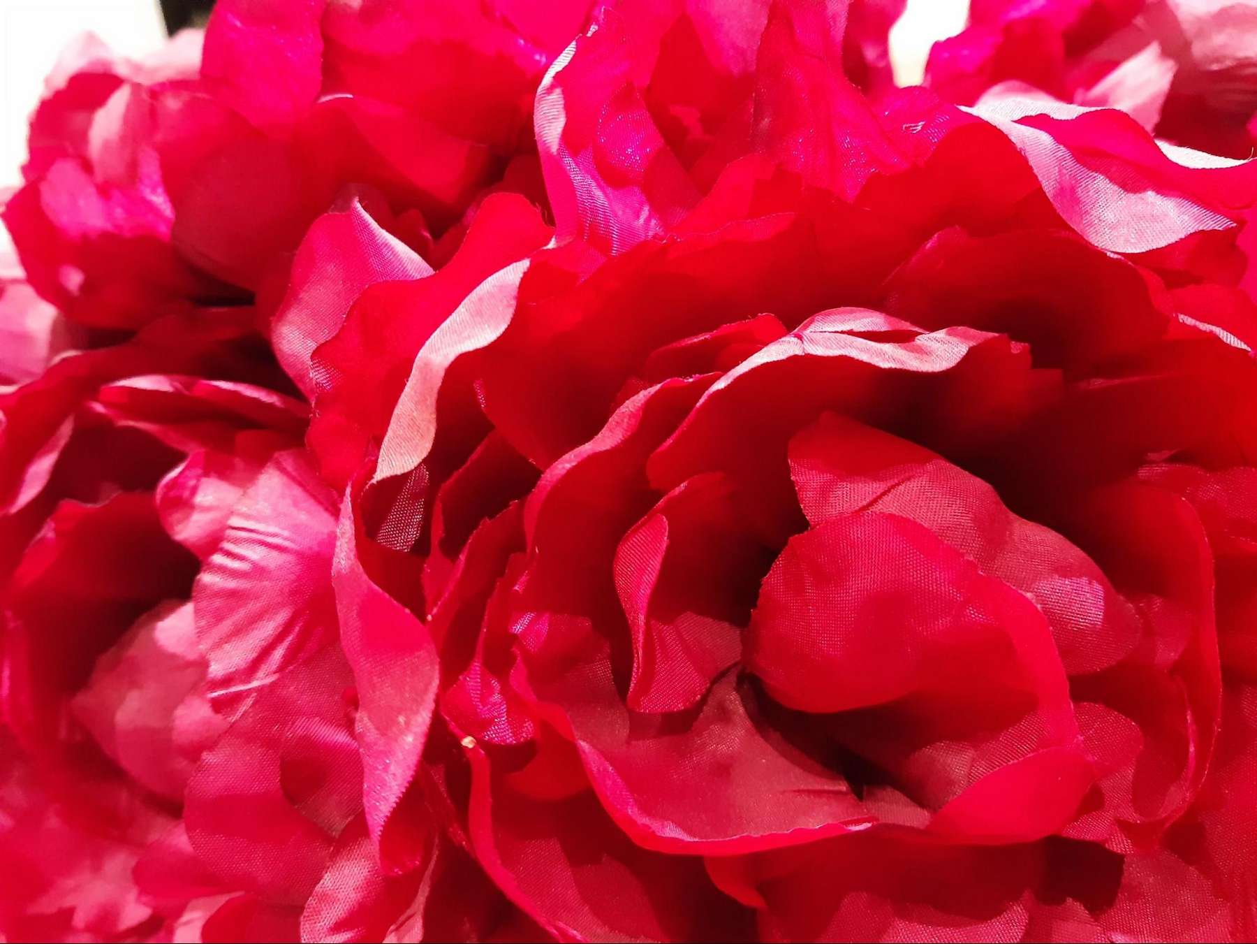 yoni flower